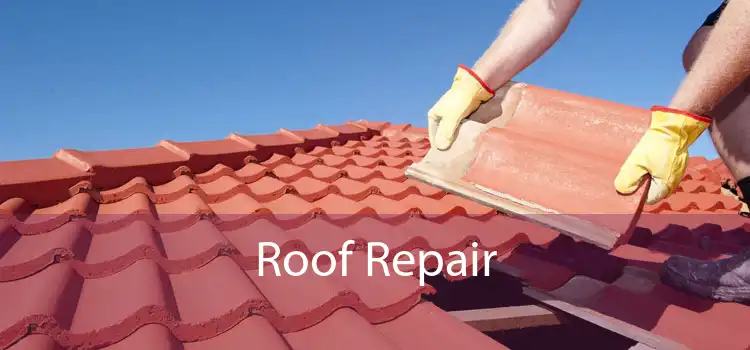 Roof Repair 