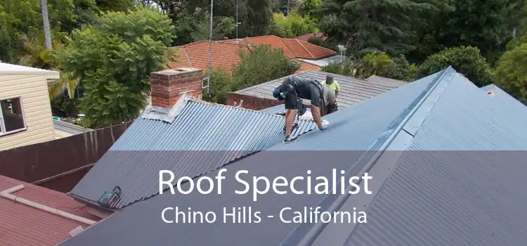 Roof Specialist Chino Hills - California