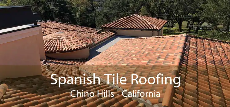 Spanish Tile Roofing Chino Hills - California