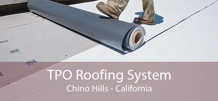 TPO Roofing System Chino Hills - California